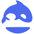 Иконка программы: DeepSeek Chat Exporter
