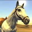 程序图标：Desert Racing - جراند الص…
