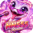 程序图标：NN555Realm