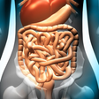 Icon of program: Gastrointestinal System