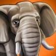 程序图标：WildLife Africa - My rese…