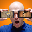 程序图标：Prank: What animal are yo…