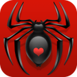 プログラムのアイコン：Spider Solitaire