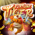 程序图标：FORTUNE TIGER