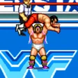 Icon of program: WF SuperStars