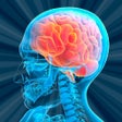 Icon of program: Brain Puzzle Games for Ad…