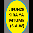 プログラムのアイコン：Maisha ya Mtume Muhammad