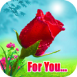 Ikona programu: beautiful flowers and ros…