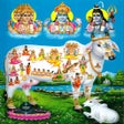 Ikon program: Gau Mata Aarti