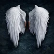程序图标：Angels Wallpapers