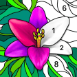 Daily Coloring by Number
