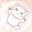 Programın simgesi: CatsBubbleLiveWallpaper