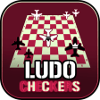 Ludo Checkers