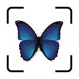 프로그램 아이콘: Bug IdentifierーIdentify I…