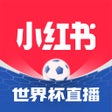 Programın simgesi: Xiaohongshu - 小红书