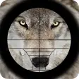 Wolf Hunter Mania