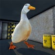 프로그램 아이콘: Evil Duck : Scary Escape