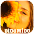 Programın simgesi: Didomido En Sevilen Cover…