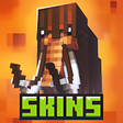 程序图标：Skins for Craftsman