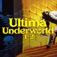 プログラムのアイコン：Ultima Underworld 12