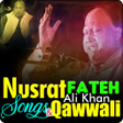 程序图标:Nusrat Fateh Ali Khan Qaw…