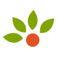 程序图标：Fruitjo