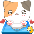 程序图标：CATCH CATS Cute Kitty