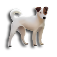 程序图标:iFoxSoft Photo Crop Edito…