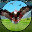 Wild Bird Shooting Hunter Game