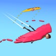 프로그램 아이콘: Fly Along