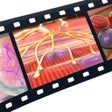Ícone do programa: Physiology Animations