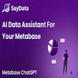 Иконка программы: SayData - Metabase ChatGP…