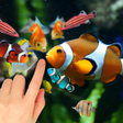 Icon of program: Aquarium Live Wallpaper F…