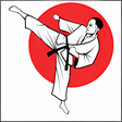 程序图标：Learning the basics of ka…