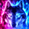 程序图标：Fire Wallpaper HD  4K