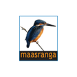 Icon of program: Maasranga Television