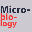 Microbiology - Textbook  MCQ