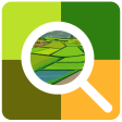 Odisha Paddy Land Survey