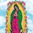 Fondos Virgen de Guadalupe