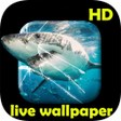 Icon of program: Shark video Live Wallpape…