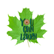 Icoon van programma: You Can Learn
