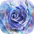 程序图标：Guided Meditation  Sleep …