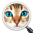 أيقونة البرنامج: Guess the Pic 2  Close up…