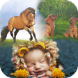 プログラムのアイコン：PicMix Free , Insta Colla…