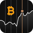 程序图标：Bitcoin Trading - Capital…