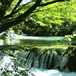 أيقونة البرنامج: Forest River Live Wallpap…