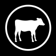 Silver Fern Farms Calf Booking