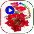 Icon of program: Animated Flowers Stickers