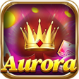 ไอคอนของโปรแกรม: Aurora Card Memory