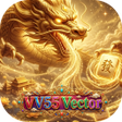 Icoon van programma: VV55Vector